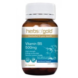 Herbs of Gold Vitamin B5 60 caps